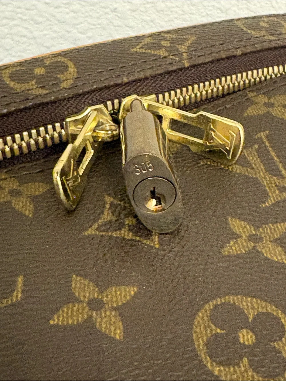 Louis Vuitton Monogram Train Case in Brown with Blush Interior